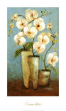 Orchid Ballet Poster by Carmen Dolce