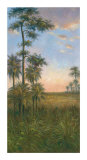 Serenidad tropical II Pósters por J. D. Davidson