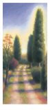 Tuscan Road II Prints by David Wander