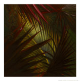 Timeless Vision Art by Verdi