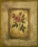 Savin Rose - mini - Gold Trim Opspændt tryk af Kimberly Poloson