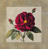 Timeless II Prints by E. Lopez
