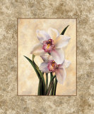 Perfection II Prints by E. Lopez