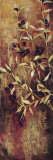 Bayas en siena I Láminas por Elizabeth Jardine
