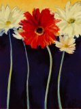 The Red Head Posters por Nel Whatmore