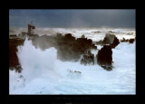 Tempête de vent Posters par Valéry Hache