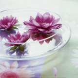 Transparent Bouquet Posters by L Wauman