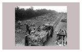 Women at War: On the Land Prints
