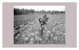Women at War: On the Land Prints