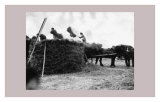 Women at War: On the Land Poster