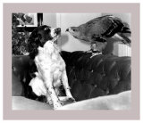 Jagger and His Friend Bow Art