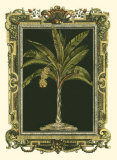 Palmera decorativa enmarcada I Láminas Palmera decorativa enmarcada I Láminas