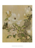 Magnolie und Schmetterling Kunstdrucke