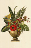 Feuillage tropical dans un vase I Affiches