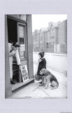 Chien à la diète Posters