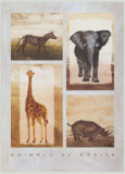 Animals of Africa Prints by Emmanuelle Teyras