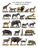 African Animals Kunstdrucke