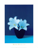 Lilies Posters by Masao Ota