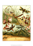 Dragonfly Gathering I Posters