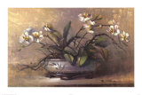 Orchid Elegance Posters by Paul Mathenia