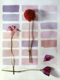 Shades Poster by Camille Soulayrol
