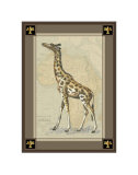 Giraffe with Border I Poster