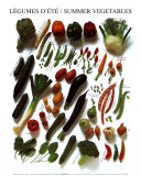 Summer Vegetables Plakaty Summer Vegetables Plakaty