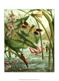 Dragonfly Gathering II Art