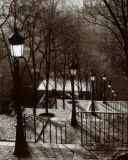 Montmartre Prints by Van Willigen 