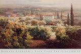 Vista desde el viñedo II Arte por Roberto Lombardi