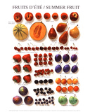 Summer Fruit - Tablo