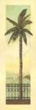 Cayman-Palme II Kunstdrucke von Charlene Winter Olson