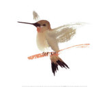 Kolibri Kunstdrucke von Aurore De La Morinerie