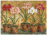 Terrace Companions Art by Judy Shelby Terrace Companions Art by Judy Shelby