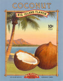 Coconut Kunstdrucke
