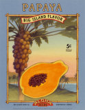 Papaya Poster