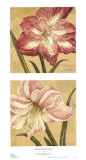 Blooming Wonder Petites Posters by Judy Shelby