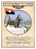Aberdeen and Commonwealth Line Giclee Print by P. H. Yorke