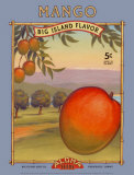 Mango Kunst