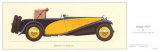 Delage, 1933 Pósters por Antonio Fantini