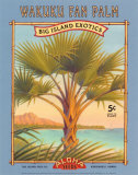 Wakuku Fan Palm Prints
