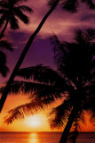 Doug Cavanaugh - Day's End - Poster Doug Cavanaugh - Day's End - Poster