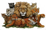 Gros chats Poster par Peter Kull