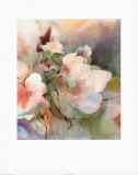 Morning Blossoms II Prints by Renee Young