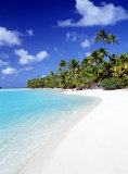 Palm Hideaway Photo
