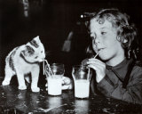 Milk Buddies Posters