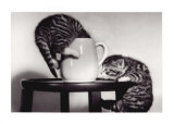 Cat Coffee Cup Twins Prints