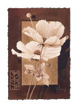 Anemone Symphony Prints by Franz Heigl Anemone Symphony Prints by Franz Heigl