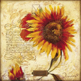 The Sun Prints by Joadoor 