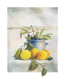 Honey Moon Prints by Franz Heigl